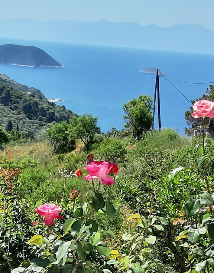 Villa Lemonia Glossa Bagian luar foto